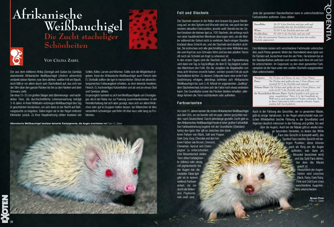 rodentia-86-fuer-alle-felle-3 Rodentia 86 - Für alle Felle