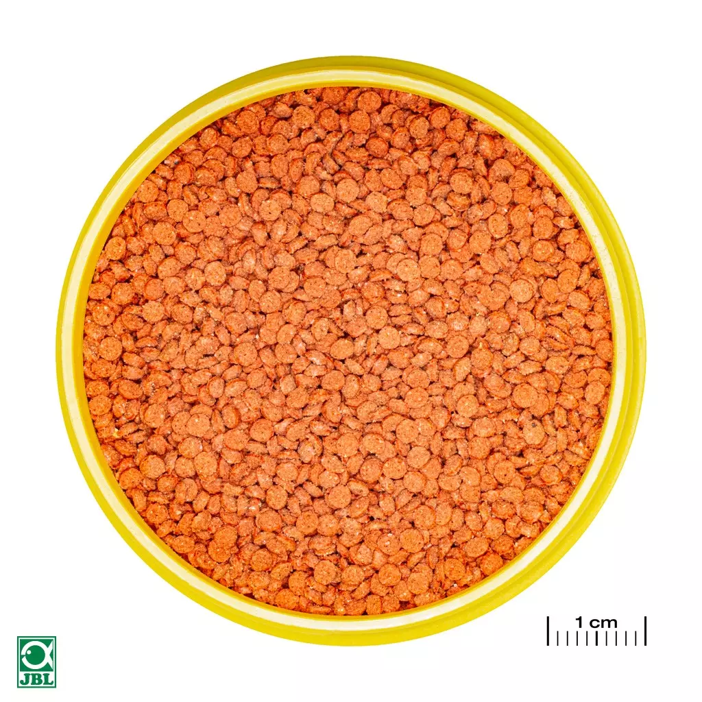 JBL ProNovo Bits Grano M 