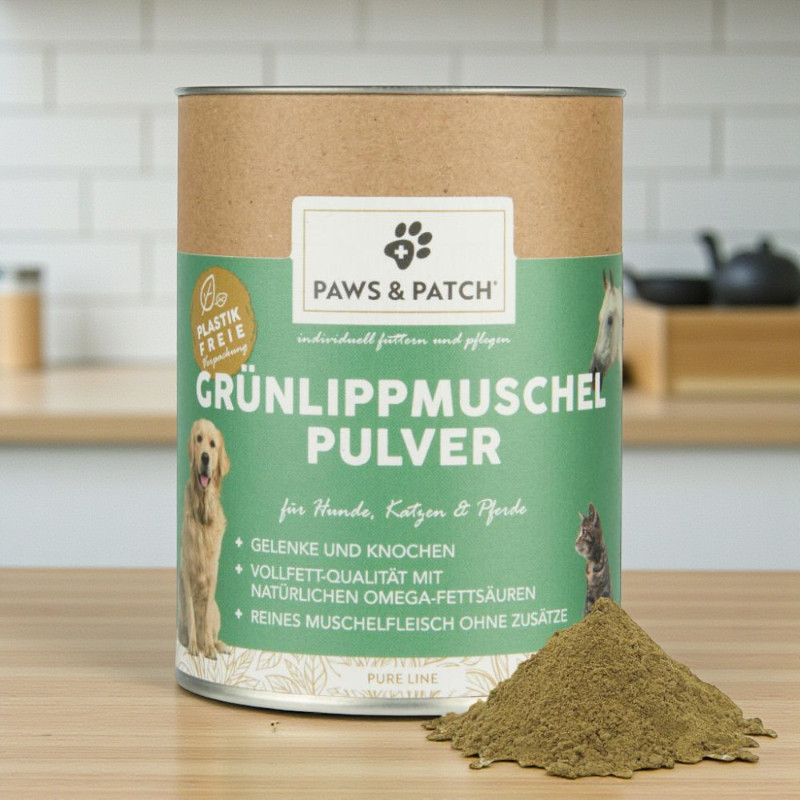 Grünlippenmuschel Pulver 