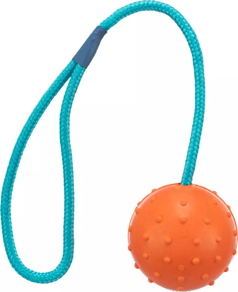 Toy on a rope: Orange-coloured ball made of natural rubber with studs hangs on a turquoise-coloured rope.
