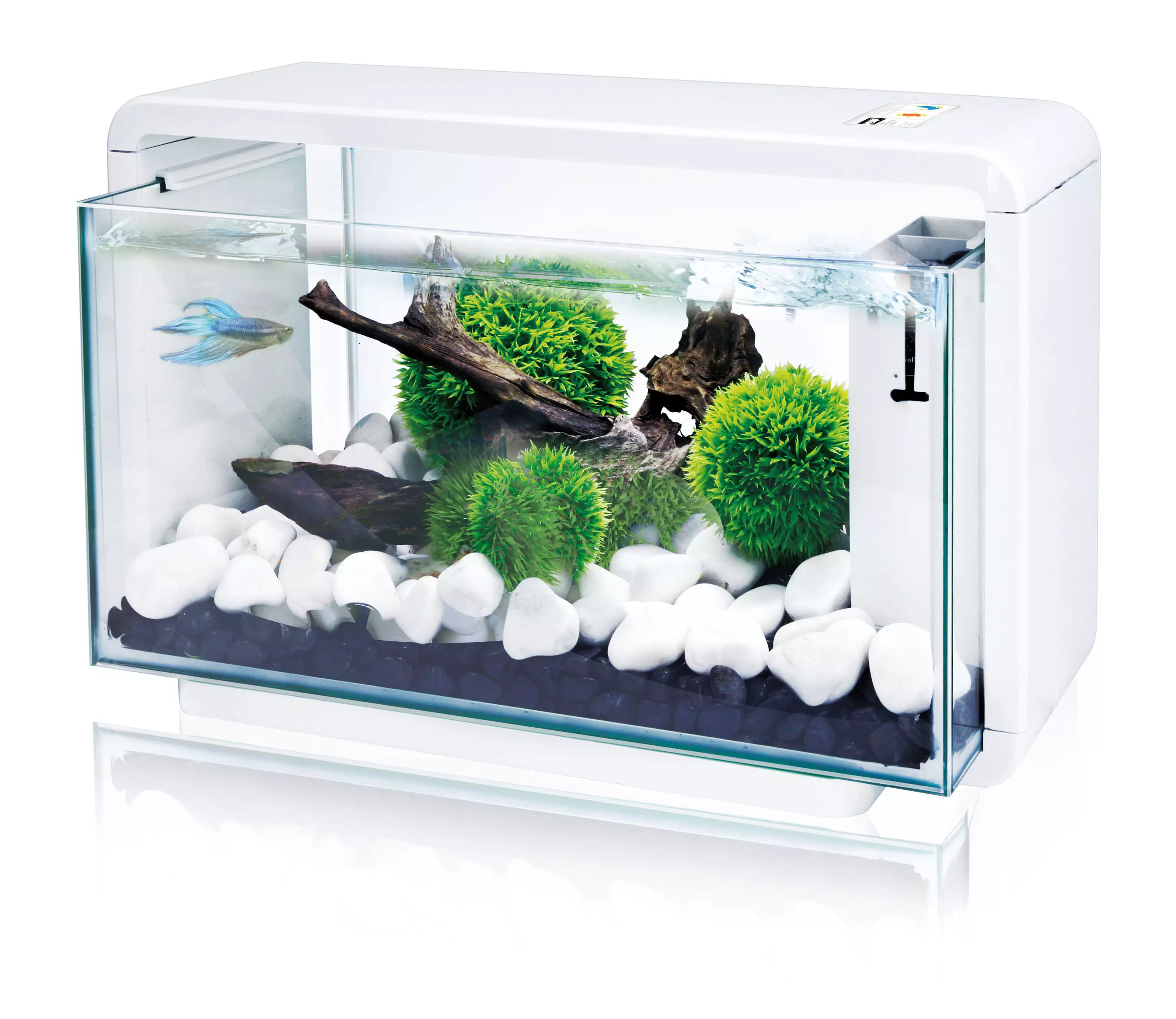 Amazonas LED Nano Aquarium 25 litres