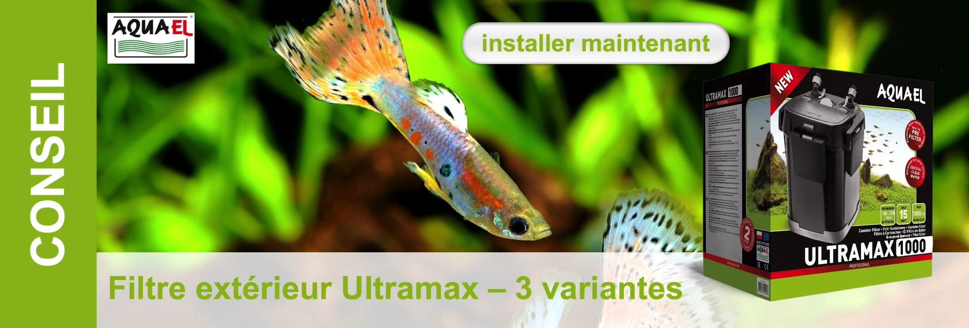 Un guppy nage devant un paquet de filtres d'aquarium et des plantes vertes. "installer maintenant" est affiché dans une zone de texte.