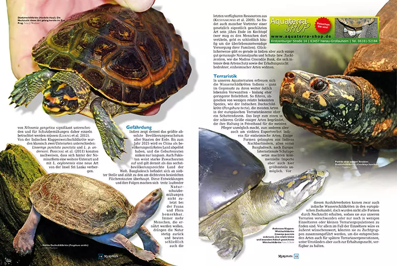 marginata-45-schildkroeten-des-indischen-subkontinents-4 Marginata 45 - Die Schildkröten des Indischen Subkontinents