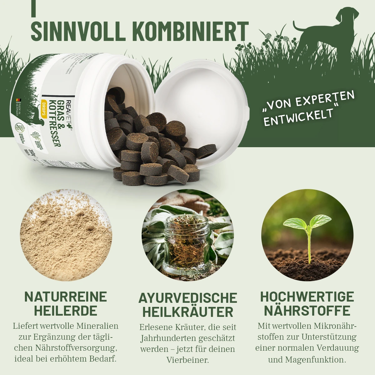 Offenes Glas REAVET Gras & Kotfresser Drops mit dunkelbraunen Tabletten. Grüne Gras- und Hundesilhouetten im Hintergrund. Drei Kreise: naturreine Heilerde, ayurvedische Heilkräuter, Pflanzenspross. Überschrift: Sinnvoll kombiniert.
