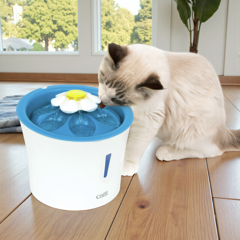 LED-Trinkbrunnen Flower 3 Liter