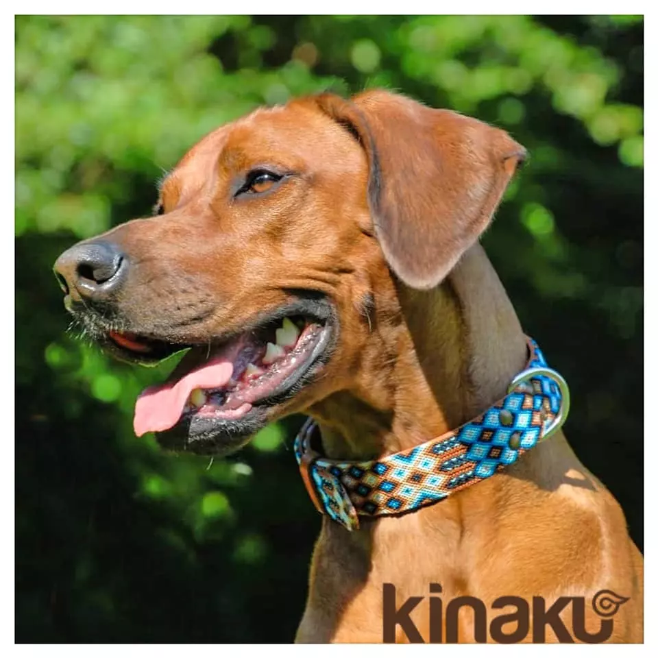 Kinakú Halsband Nayarit