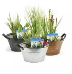 Terrassenteich Set - Zink Wanne