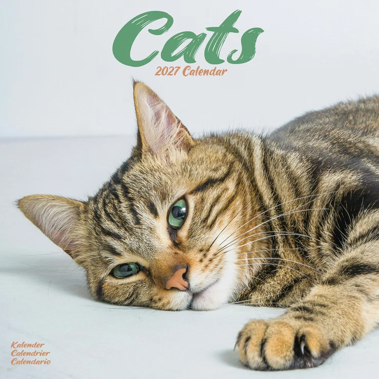 Kalender 2027 Cats - Katzen - Felis