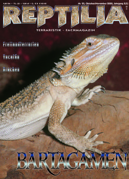 Reptilia 25 - Bartagamen