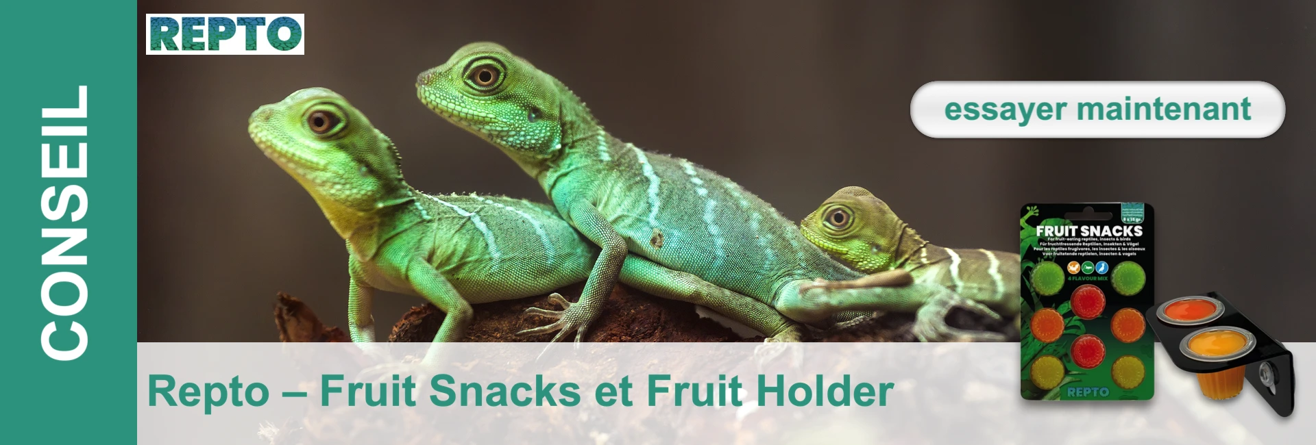 Trois dragons d'eau verts sur une branche, à côté desquels se trouvent des petites boîtes de nourriture pour reptiles.
