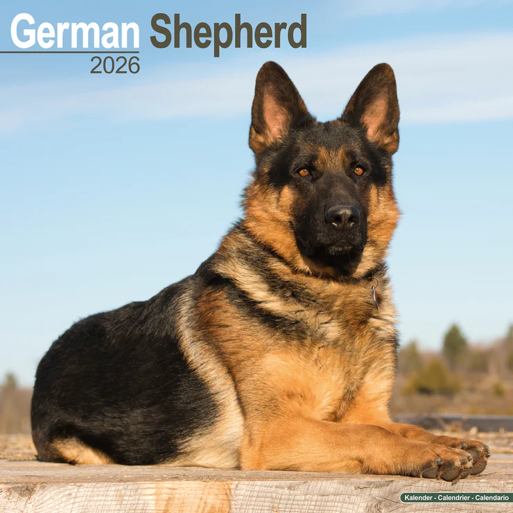 Calendar 2025 German Shepherd