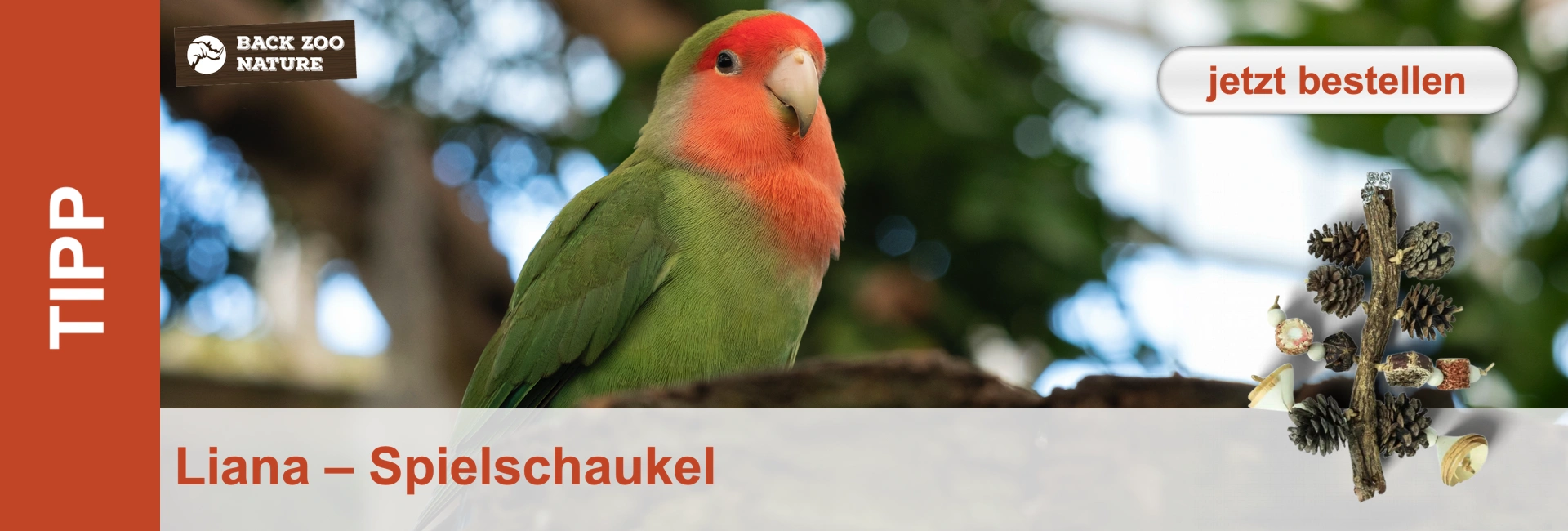 Una testa di pesca dai colori verdi e rossi è seduta su un ramo, accanto a un'altalena a tronco d'albero con pigne.