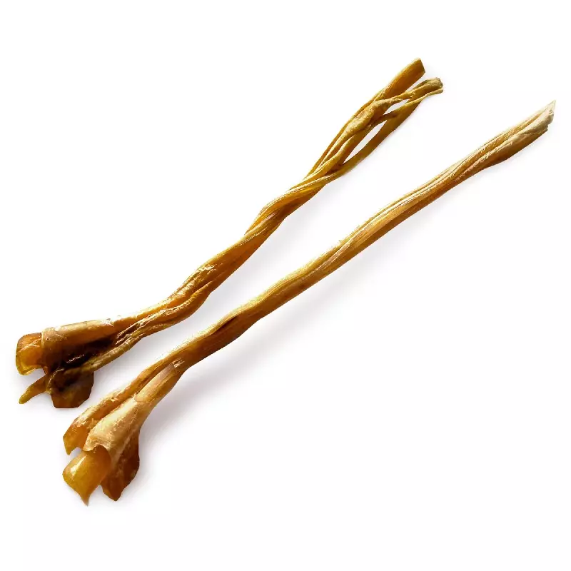 Ostriches Long tendons