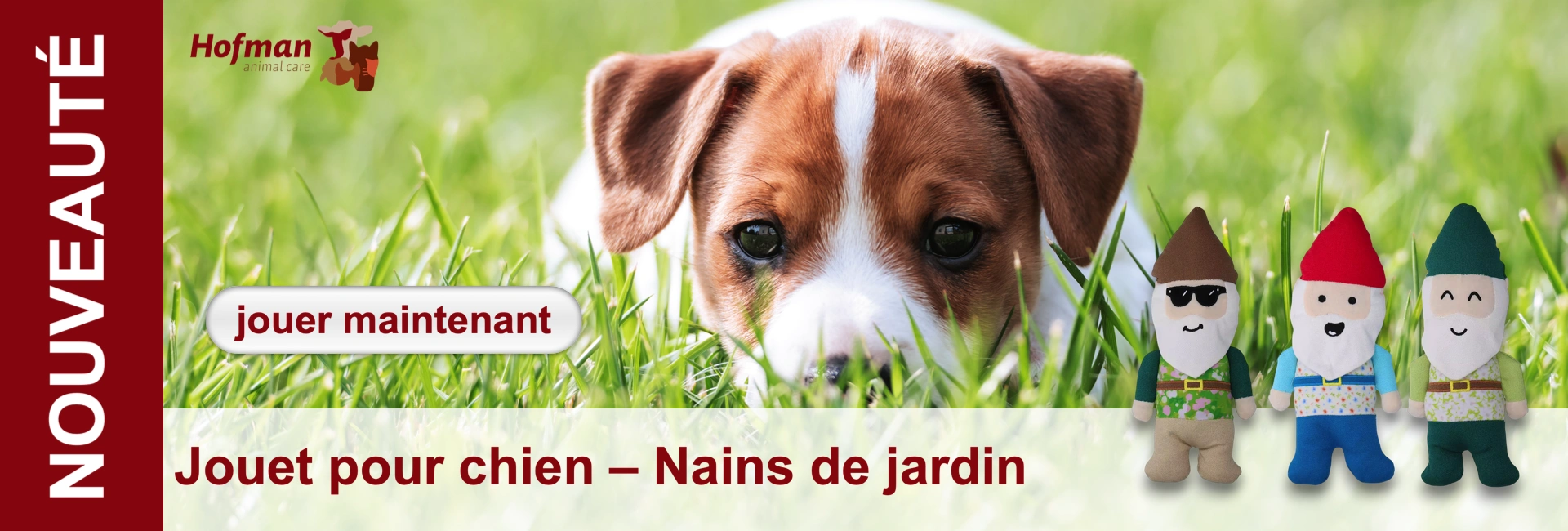 Chien dans l'herbe avec des nains de jardin. Bannière publicitaire pour jouets pour chiens.