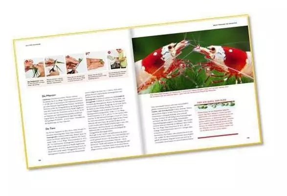 Aquascaping / Aquarienlandschaften gestalten