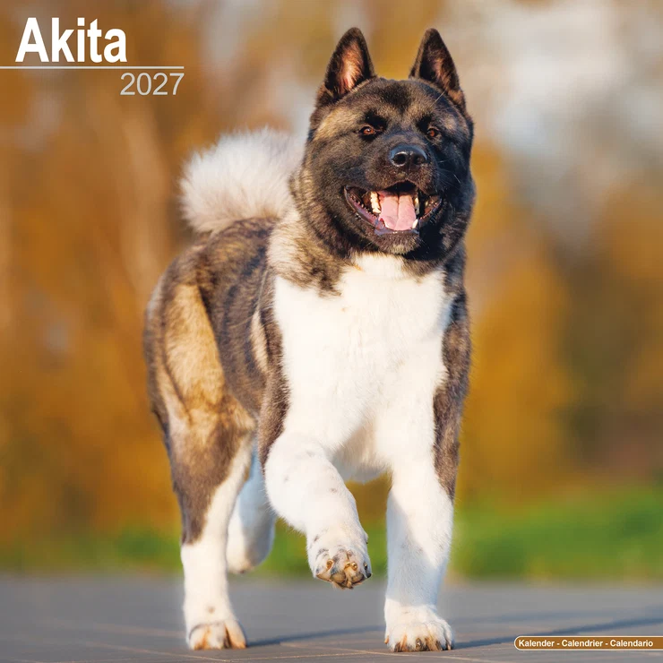 Kalender 2027 Akita