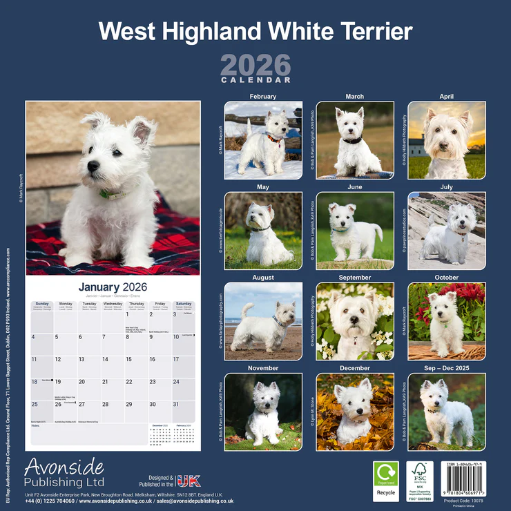 Kalender 2026 Westie - West Highland White Terrier Kalender 2026 Westie - West Highland White Terrier