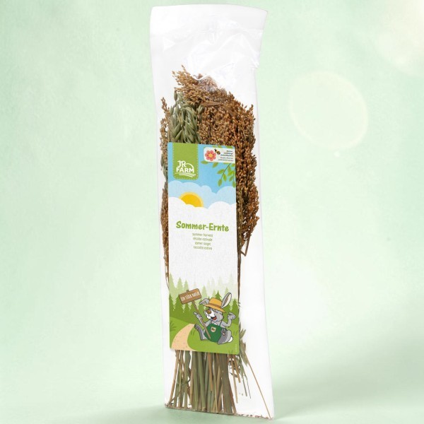Transparent bag containing dried grasses and cereal ears, including brown foxtail millet and green stalks. Label reading ‘JR Farm Summer Harvest’ featuring cartoon rabbits on a forest path in the sunshine. Light green background.