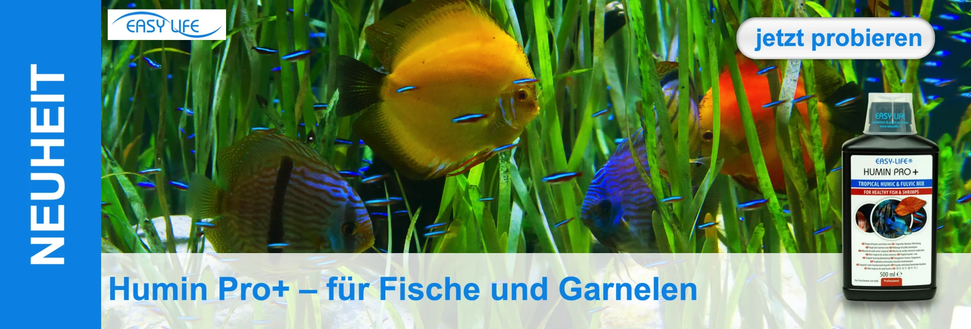 Ein Aquarium mit gelben, roten und blauen Diskusfischen, Neonsalmlern, Wasserpflanzen und einer Flasche Humin Pro+.