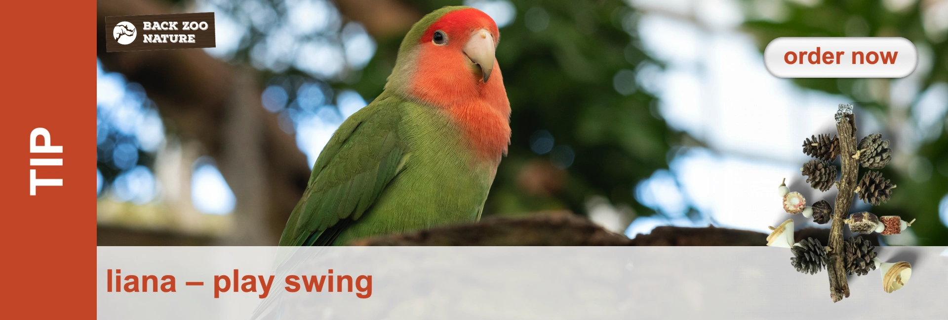 A green parrot with a red head sits on a branch in front of a blurred green background. On the right is a toy made of pine cones.