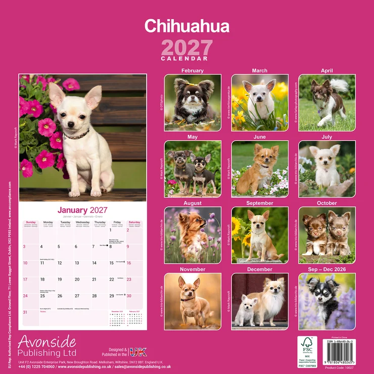 Calendrier 2026 Chihuahua - Chi