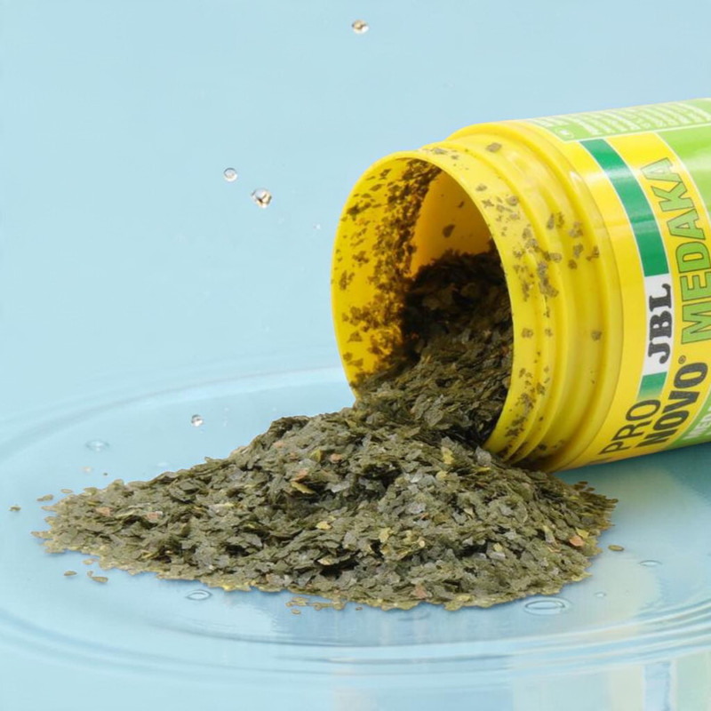 Ein gelber Behälter mit der Aufschrift 'JBL ProNovo Medaka' ist auf eine hellblaue Oberfläche gekippt, aus dem feines, grünliches Flockenfutter rieselt. Die Flocken bilden einen kleinen Haufen im Wasser.