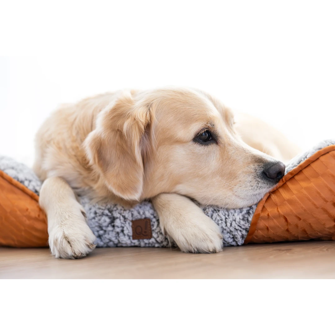 Selbstwärmendes Hundebett