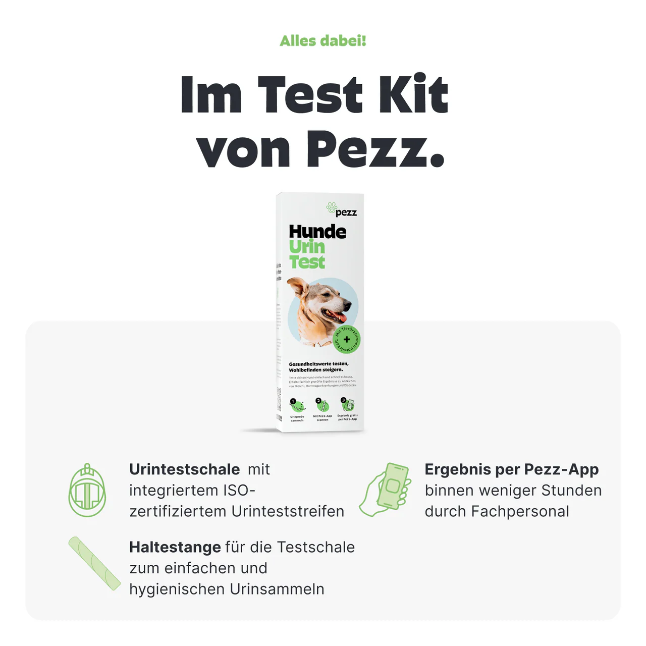 Urintest Kit für Hunde