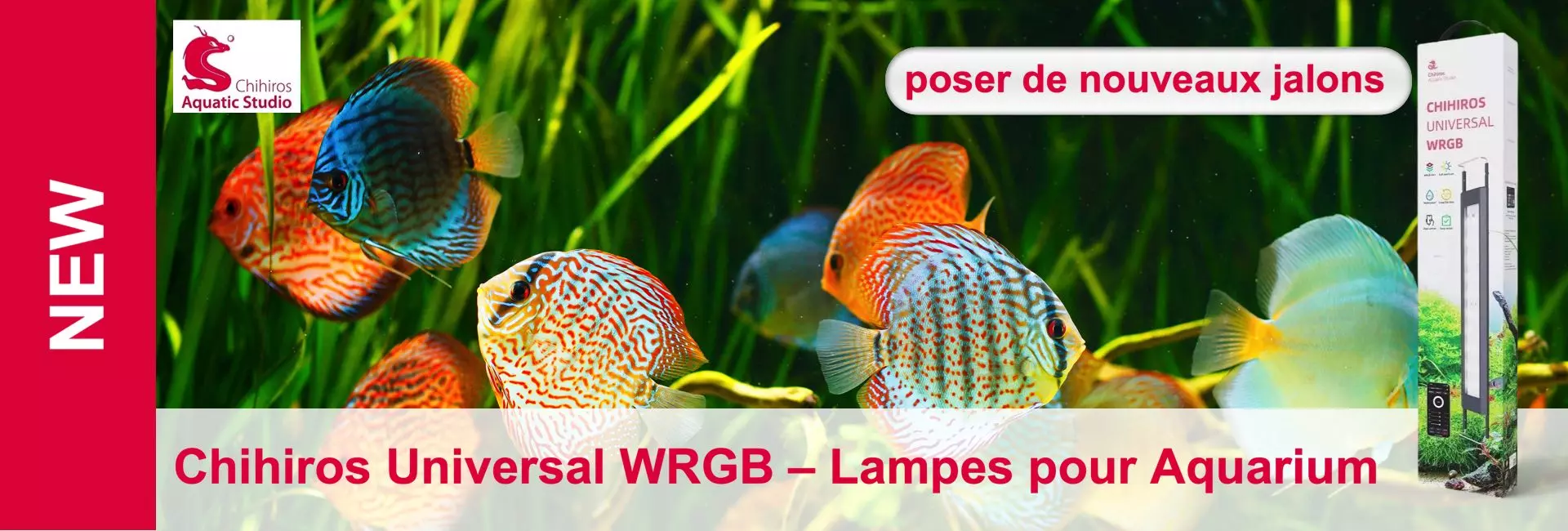 Gros plan sur des discus de différentes couleurs dans un aquarium avec des plantes et le produit Chihiros Universal WRGB.