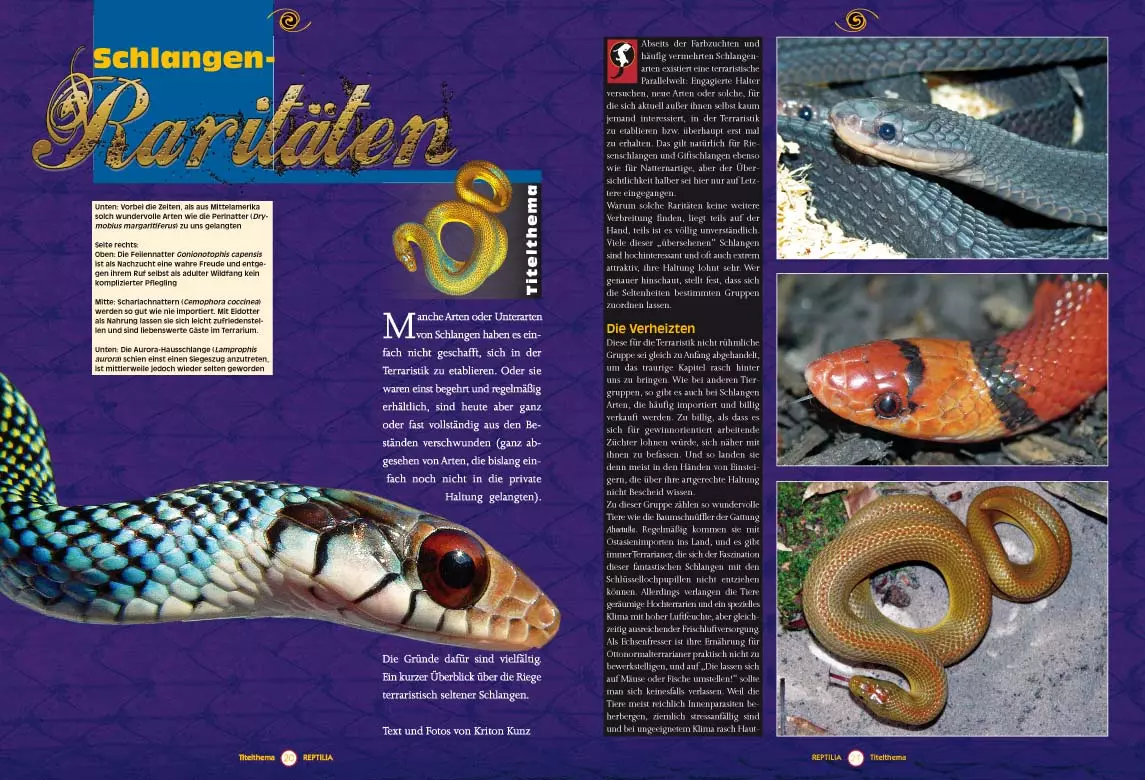 reptilia-111-1 Reptilia 111 - Schlangen-Raritäten