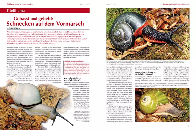 Bugs Nr3 - Tropische Landschnecken