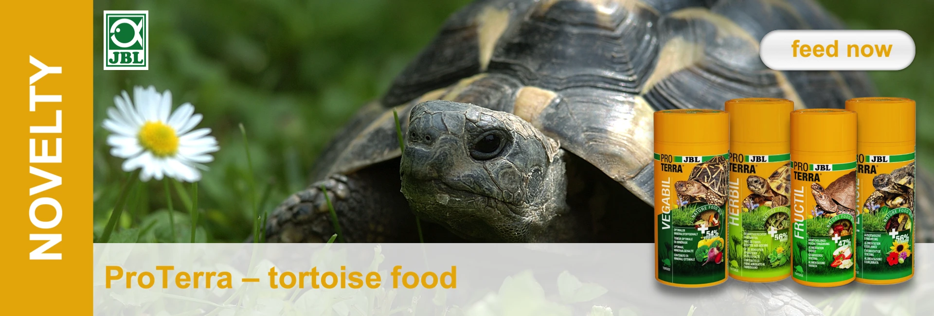 Close-up of a turtle in the grass with daisies and food cans, product advert for JBL ProTerra turtle food.