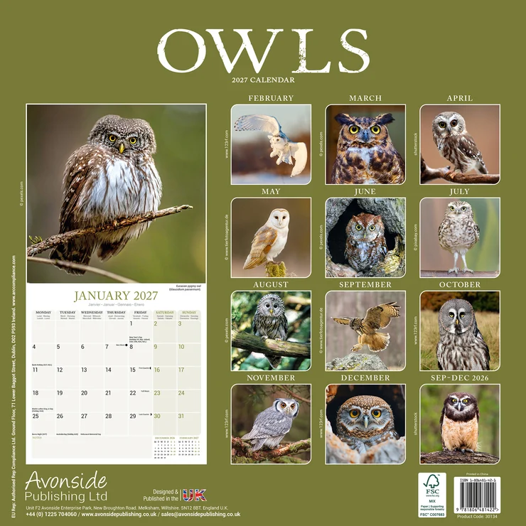Kalender 2027 Eulen - Eule - Owls