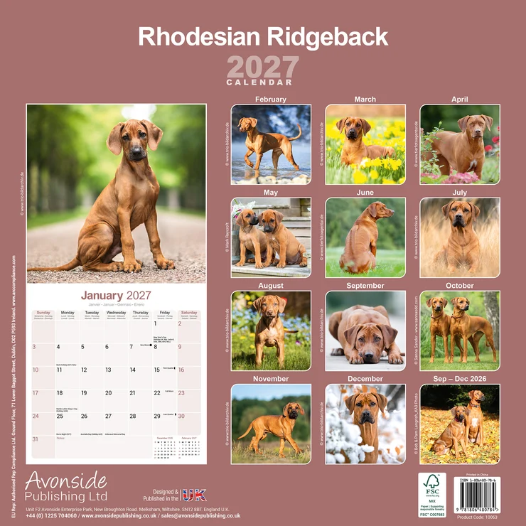 Kalender 2027 Rhodesian Ridgeback