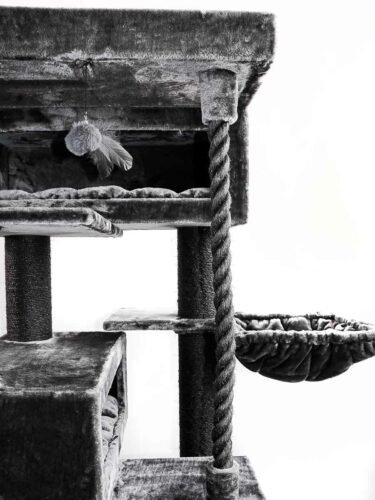 Dettaglio in bianco e nero di un tiragraffi a più livelli con piattaforme rivestite in peluche, un tronco per graffiare in spessa corda di sisal e una morbida amaca. In cima è appeso un giocattolo a piume. Offre possibilità di gioco e un rifugio.