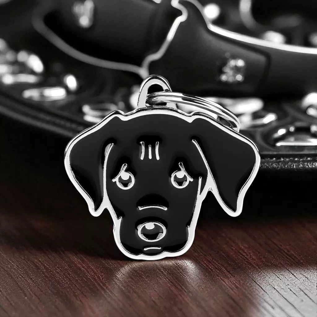 Primo piano: targhetta per indirizzi in Labrador nero di Myfamily con anello portachiavi, disegno stilizzato della testa del cane.