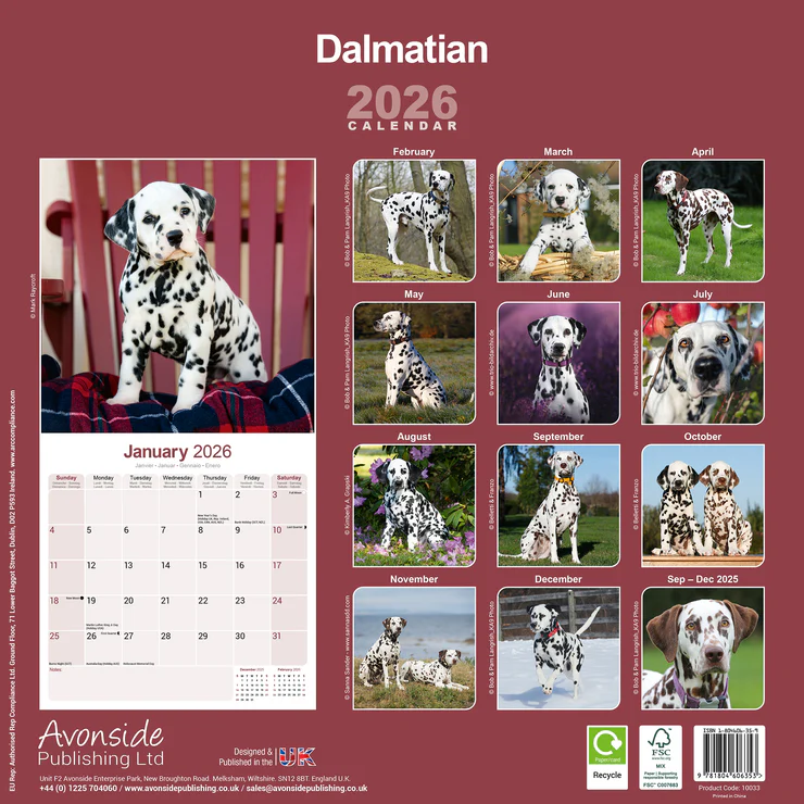 Kalender 2026: Dalmatinerwelpe sitzt auf einem Stuhl, Monatsübersicht und weitere Dalmatiner-Fotos.