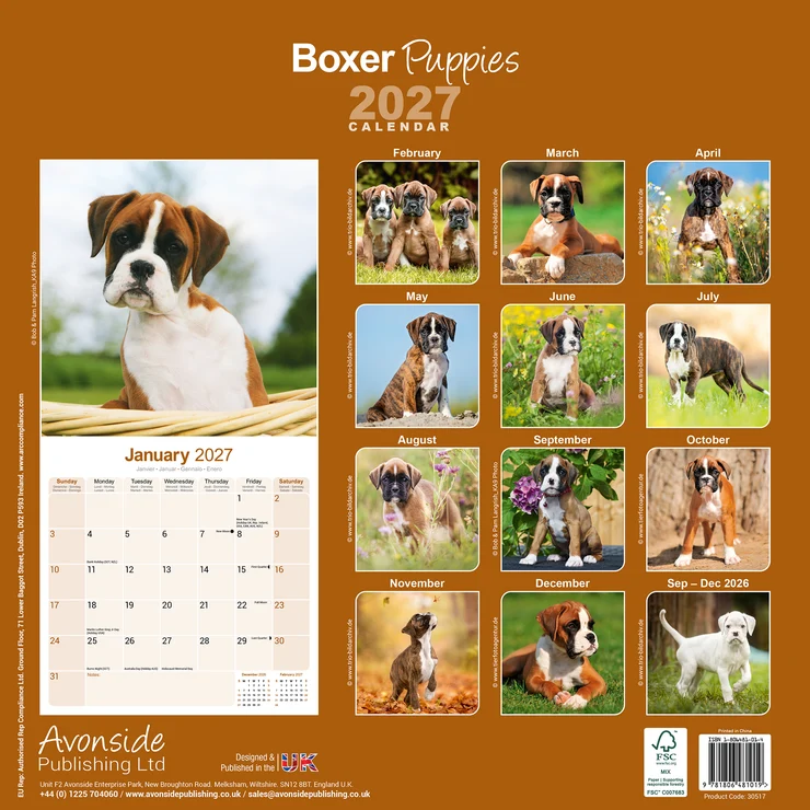 Kalender 2027 Boxer - Welpe