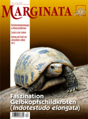 Marginata Nr. 32 - Faszination Gelbkopf-Landschildkröten