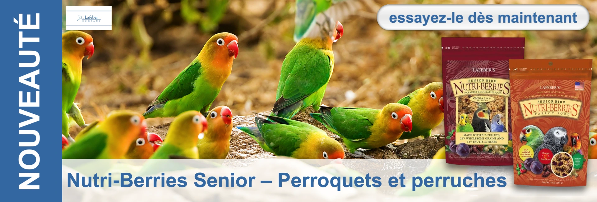 Plusieurs inséparables multicolores, au plumage vert vif, à la poitrine jaune et à la tête rouge-orange, sont perchés sur un fond marron. Un oiseau picore. À droite, on aperçoit deux paquets de «Lafeber's Nutri-Berries Senior ».