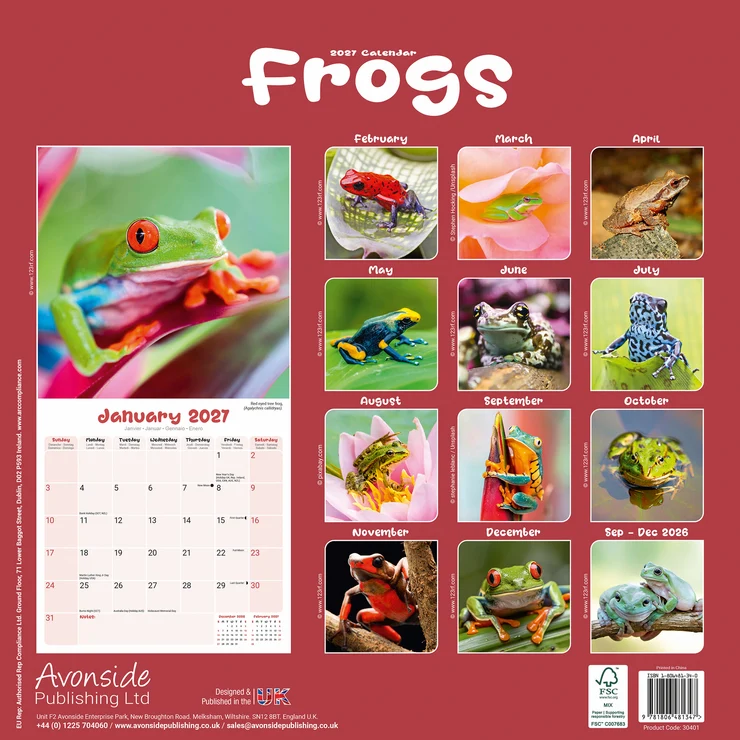 Kalender 2027 Frogs - Frösche