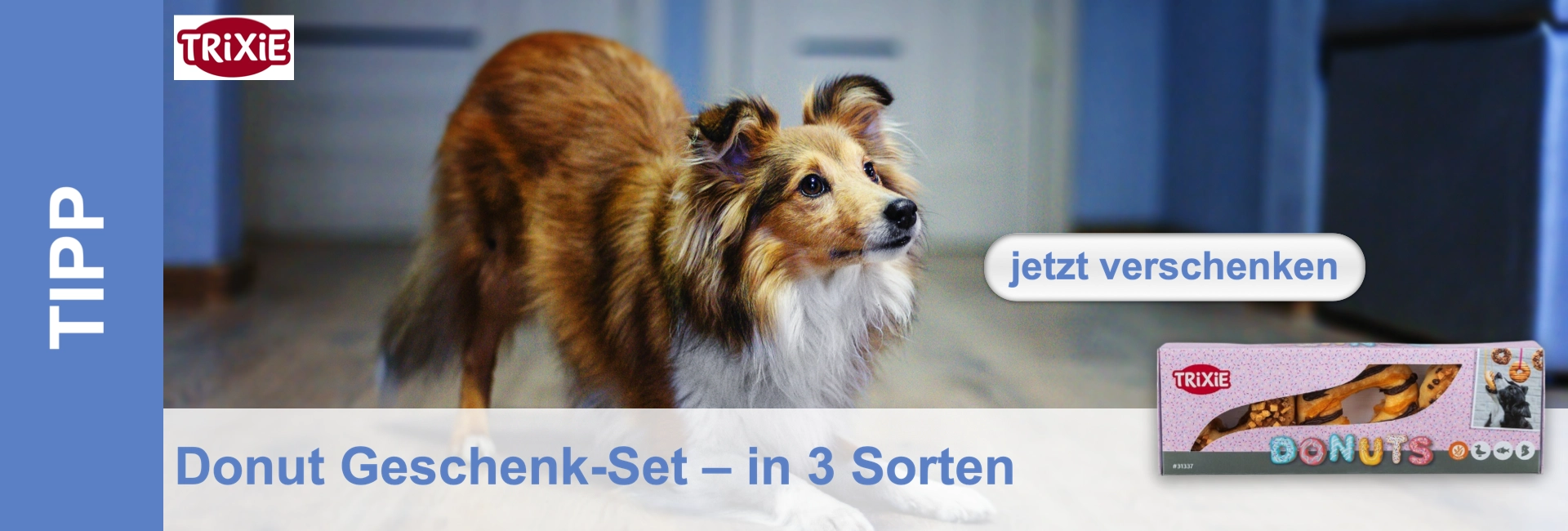 Cane marrone a pelo lungo con pelo bianco sul petto guarda in alto, accanto a un set di ciambelle per cani.