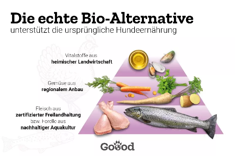 goood-dose-senior-freilandpute-forelle-1 Goood Dose Senior Mini - Freilandpute und nachhaltige Forelle