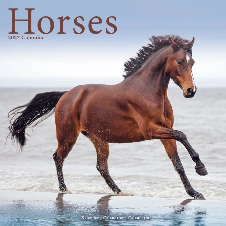 Kalender 2027 Pferde - Pferd - Horses
