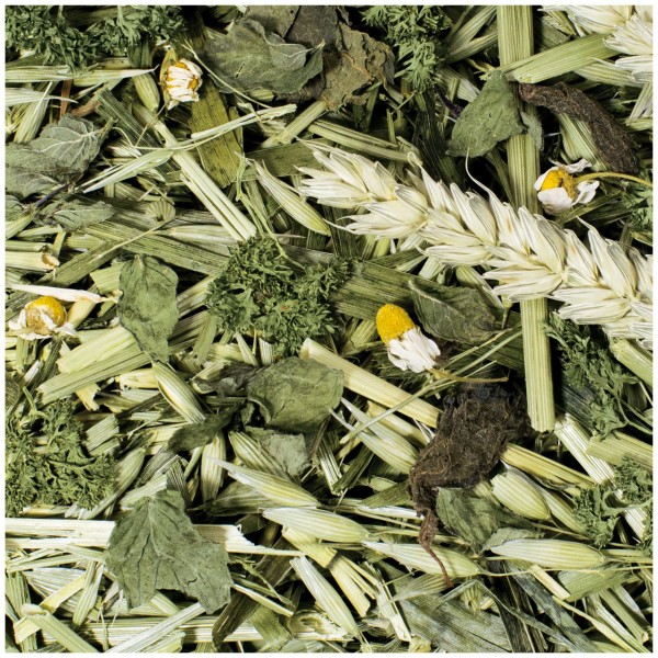 A close-up of a dried herbal mixture featuring light green strands of hay, dark green leaves and chopped herbs. Scattered amongst them are white and yellow chamomile flowers, as well as a light brown ear of wheat or oats.