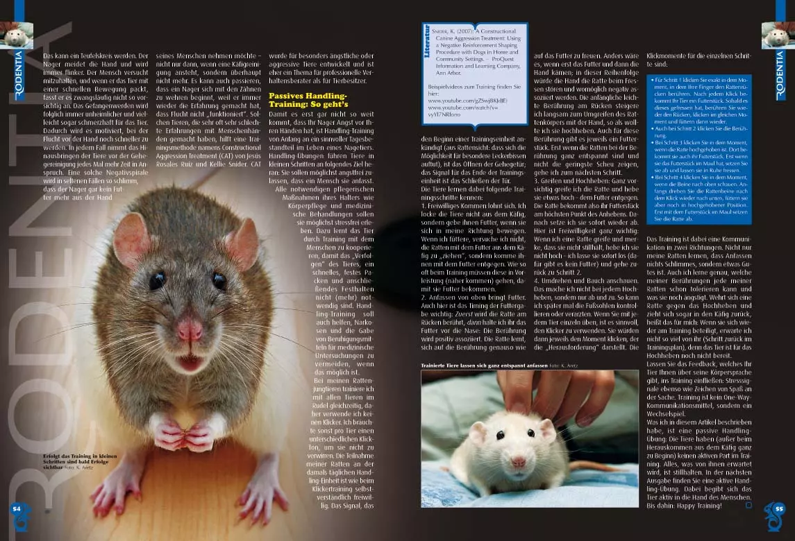 rodentia-72-2 Rodentia 72 - Animal Hoarding