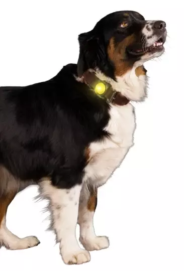 Sicherheitslicht gelb