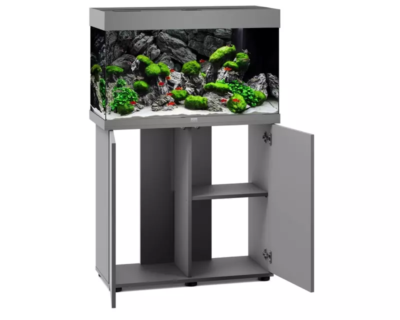 Aquarium gris sur meuble avec porte ouverte et plantation de rochers et poissons rouges.