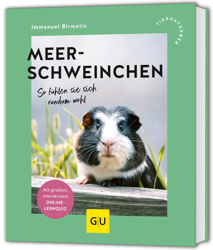 Buchcover: `GU Meerschweinchen`. Nahaufnahme eines schwarz-weiß gefleckten Meerschweinchens auf Holz, schaut direkt in die Kamera.
