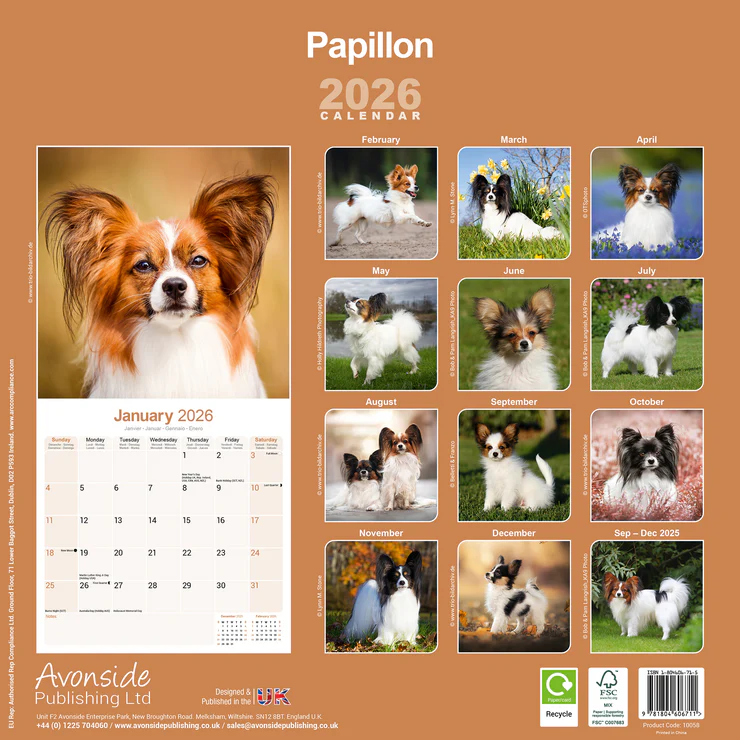 Calendar 2025 Papillon or Phalène - Zwergspaniel